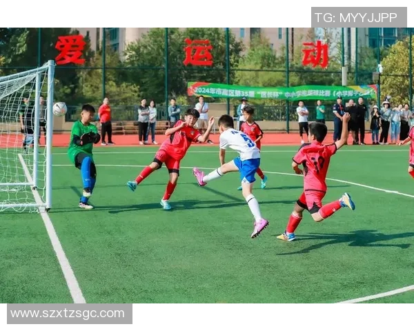 足球场上34号球星的精彩表现与成长历程全解析 足球场上34号球星的精彩表现与成长历程全解析